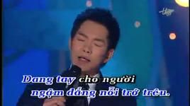 Ca nhạc Tình Rơi - Trần Thái Hòa