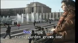 song sung blue (karaoke) - neil diamond