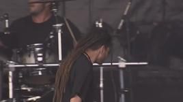 perversion of reality (hellfest open air 2009) - dang cap nhat