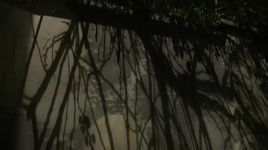 California - Mazzy Star