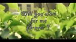 Xem MV Will You Wait For Me Forever? (Phim Ngắn) - V.A