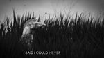 Numb Bears (Lyric Video) - Of Monsters And Men