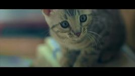 Xem MV 7E77 ME B43Y - Seul Ong