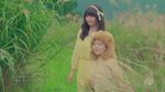 Xem MV Little Lion Heart - Ayana Taketatsu