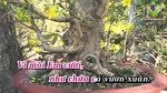 Xem MV Bài Ca Tết Cho Anh Remix (Karaoke) - Kiwi Ngô Mai Trang