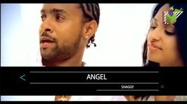 Ca nhạc Angel (Karaoke) - Shaggy
