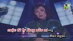 Ca nhạc Chuyến Đò Vĩ Tuyến (Karaoke) - Hoàng Oanh