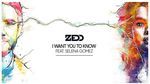 Tải nhạc I Want You To Know (Karaoke) - Zedd, Selena Gomez