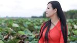 MV Vì Lòng Còn Thương - Dương Hồng Loan | Video Ca Nhạc Online