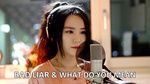 Xem MV Bad Liar & What Do You Mean (Mashup Cover) - J.Fla