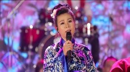 Tình Là Chi (Live Show Cảm Ơn Cuộc Đời) - Dương Hồng Loan