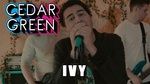 MV Ivy - Cedar Green
