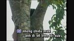 Xem MV 999 Đóa Hồng (Karaoke) - Simon Wong