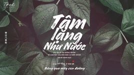 Xem MV Tâm Lặng Như Nước / 心如止水 Cover (Vietsub, Kara) - Vũ Tình