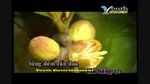 Hoa Có Vàng Nơi Ấy (Karaoke) - Đàm Vĩnh Hưng