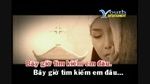 Hoa Học Trò (Karaoke) - Đàm Vĩnh Hưng