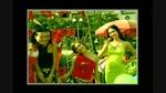 Xem MV Người Tình Ơi Mơ Gì (Karaoke) - Đàm Vĩnh Hưng, Mỹ Tâm