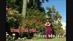 Xem MV Sao Chưa Thấy Hồi Âm (Karaoke) - Ngọc Đài