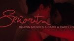Tải nhạc Señorita (Lyric Video) - Shawn Mendes, Camila Cabello