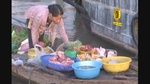 MV Chiều Mưa Qua Sông (Karaoke) - Cẩm Ly