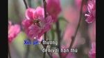 Xem MV Mùa Xuân Đầu Tiên (Karaoke) - Cẩm Ly