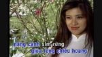 Ca nhạc Đám Cưới Đầu Xuân (Karaoke) - Chế Linh