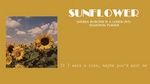 Sunflower (Lyrics) - Shannon Purser