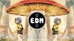 Tải nhạc hình Edm Tik Tok - Top 12 Bản Nhạc Tik Tok Trung Quốc Remix Được Yêu Thích Nhất online miễn phí