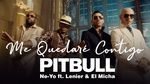 Ca nhạc Me Quedaré Contigo - Pitbull, Ne-Yo, Lenier, El Micha