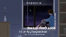 Em Lại Nhớ Anh Rồi / 我又想你了 (Vietsub, Kara) - Lưu Dịch Thần (Liu Yi Chen)