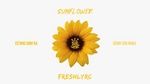 Xem MV Sunflower (Lyric Video) - FreshlyRC