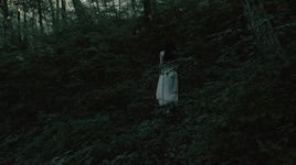 In The Dark Woods - Akira Kosemura