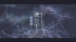 Rơi Lệ Nói Chia Tay / 流着泪说分手 (Vietsub, Kara) - Kim Chí Văn (Jin Zhi Wen)