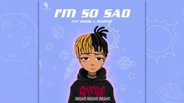 I'm So Sad (Lyric Video) - Tây Giang