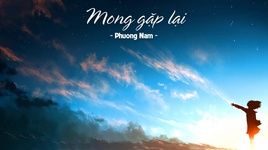 Mong Gặp Lại (Lyric Video) - Phương Nam