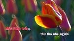 Sắc Màu Tulip (Karaoke) - V.A
