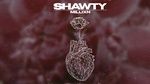 Ca nhạc Shawty (Lyric Video) - Millixn