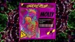 MV Molly (Lyric Video) - Young Cclown, Icy Oshiro, Chill D