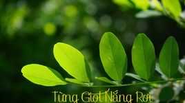 MV Từng Giọt Nắng Rơi - Nguyễn Cửu Dũng