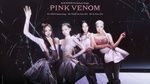 Pink Venom - BlackPink | Video Nhac Hay