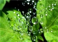 Nhạc Đệm Chương Trình TV