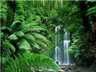 Instrusment Collection