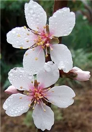 Nhac của tui để dành :D