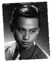 Hoa tau - Tinh khuc Lam Phuong