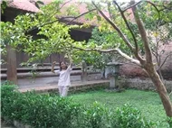 Nguyễn Việt Dung