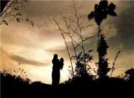 nhac trữ tình Việt