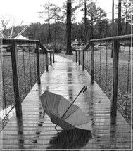 V.A - Nhạc Hòa Tấu Chọn Lọc