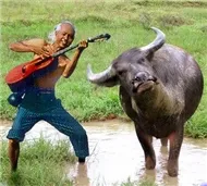 Nhạc Quốc Tế Tôi Yêu