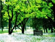 Nhạc Xưa Tuyển Chọn