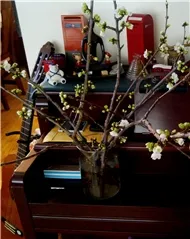 Nothing Else Matters